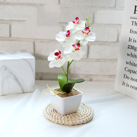 Creative Simulation Flower Phalaenopsis Bonsai