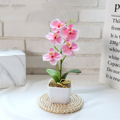Creative Simulation Flower Phalaenopsis Bonsai