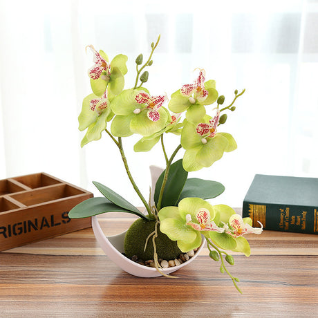 Creative Decoration Plants Potted Green