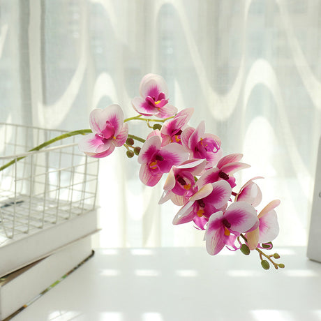 Printing Phalaenopsis Flower Bonsai Artificial Plant