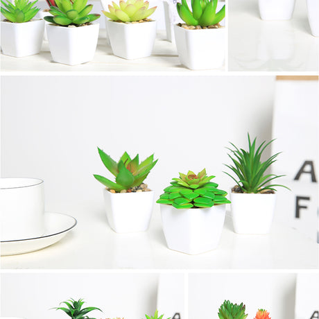 Simulated succulents mini potted plants