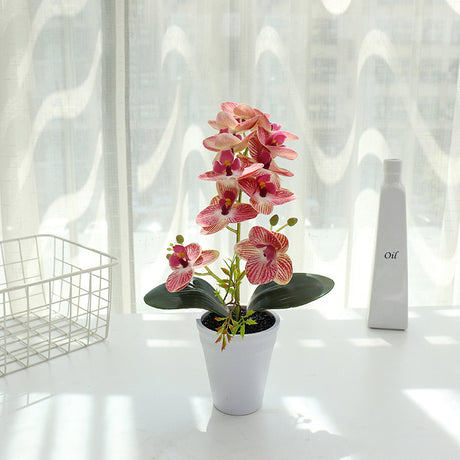 Printing Phalaenopsis Flower Bonsai Artificial Plant