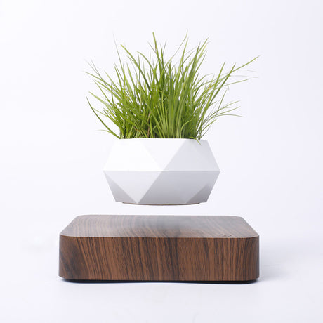 Magnetic Levitation Polygonal Wood Grain Potted Plant