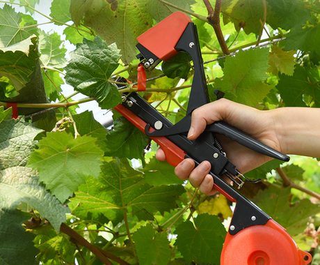 Grape Branch Tying Device, Fruit Tree Tying Machine, Small Orchard Hand-Held Tying Machine