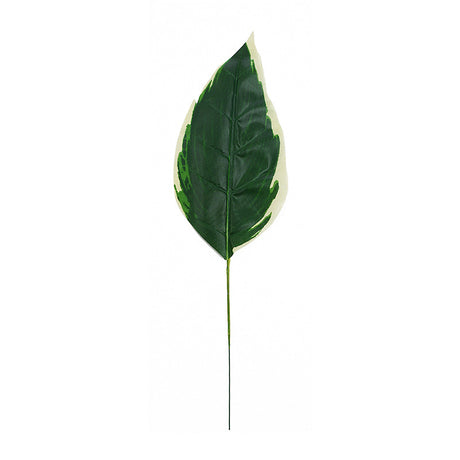 Turtle leaf simulation plant