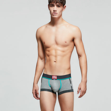 Men's Underwear Fashion Trend Boxer Briefs